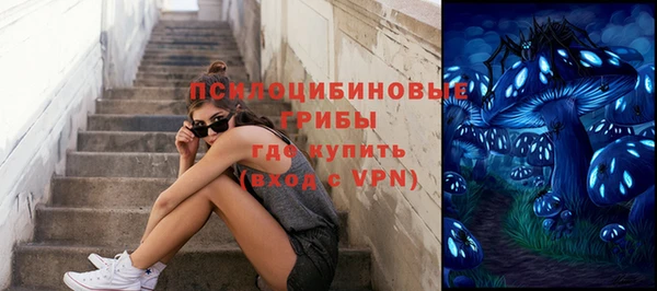 стаф Михайловка